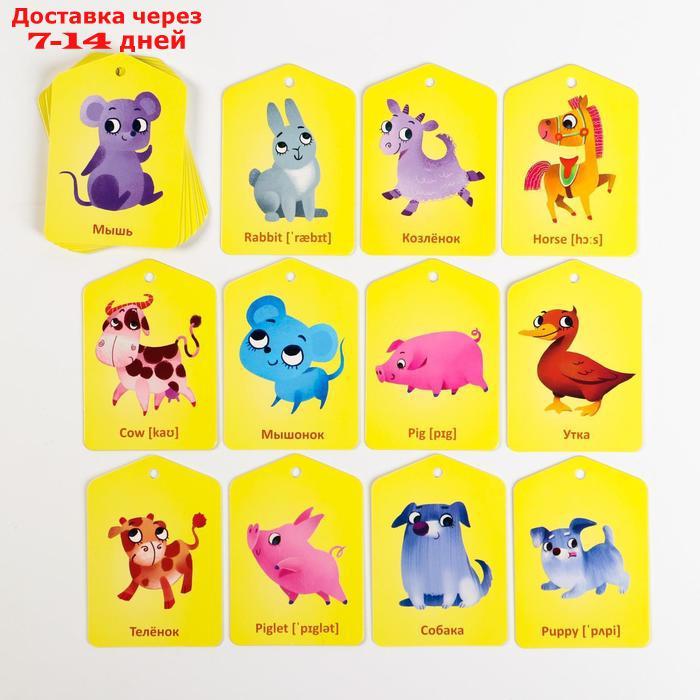 Карточки на кольце для изучения английского языка "Мамы и детёныши", 3+ - фото 3 - id-p226906082
