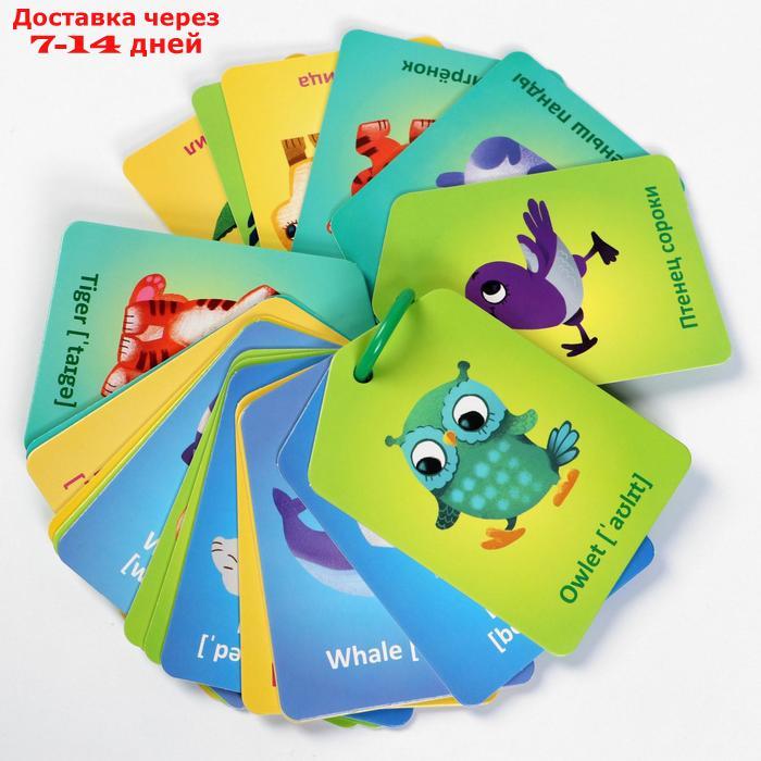 Карточки на кольце для изучения английского языка "Мамы и детёныши", 3+ - фото 2 - id-p226906103