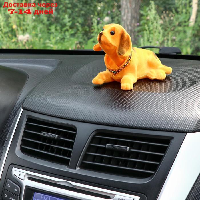 Собака на панель авто, качающая головой, большая, коричневый окрас - фото 4 - id-p226893762