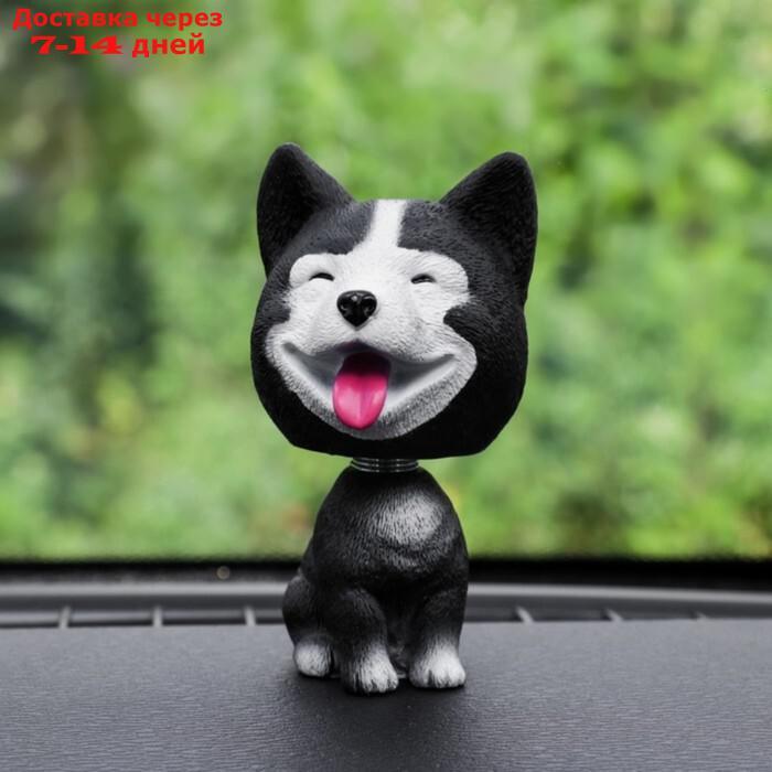 Собака на панель авто, качающая головой, хаски, черный - фото 1 - id-p226893770
