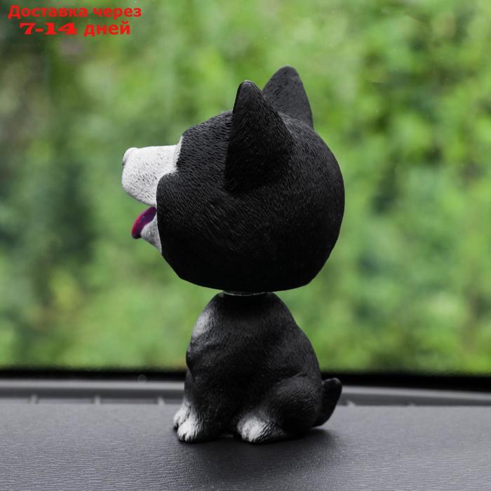 Собака на панель авто, качающая головой, хаски, черный - фото 2 - id-p226893770