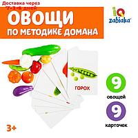 Обучающий набор по методике Г. Домана "Овощи": 9 карточек + 9 овощей, счётный материал