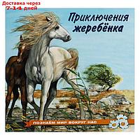 "Познаём мир вокруг нас. Приключения жеребёнка", 16 стр.