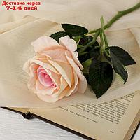 Цветы искусственные "Роза венесуэльская" 8*23 см, персиковая