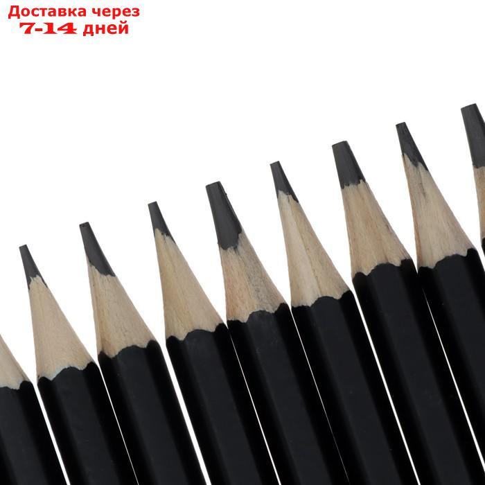 Набор карандашей чернографитных, 12 шт., твёрдость 2Н-8В, гранённые, заточенные, в картонной коробке - фото 4 - id-p226911283