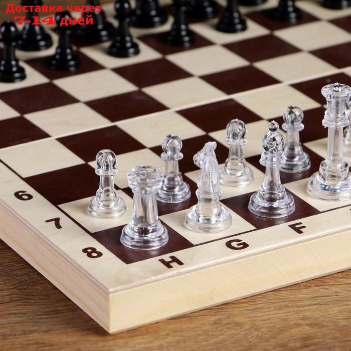 Фигуры шахматные, король h=5.8 см, пешка h=2.8 см - фото 3 - id-p226900631