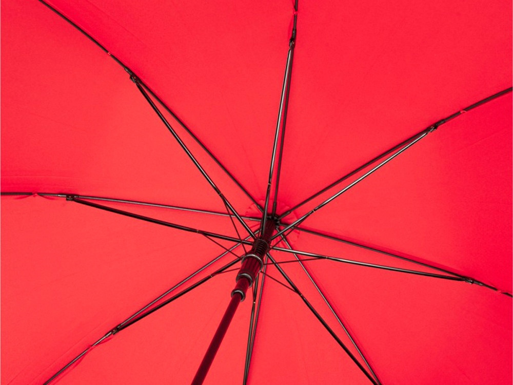 23-дюймовый автоматический зонт Alina из переработанного ПЭТ-пластика, красный - фото 3 - id-p227133817