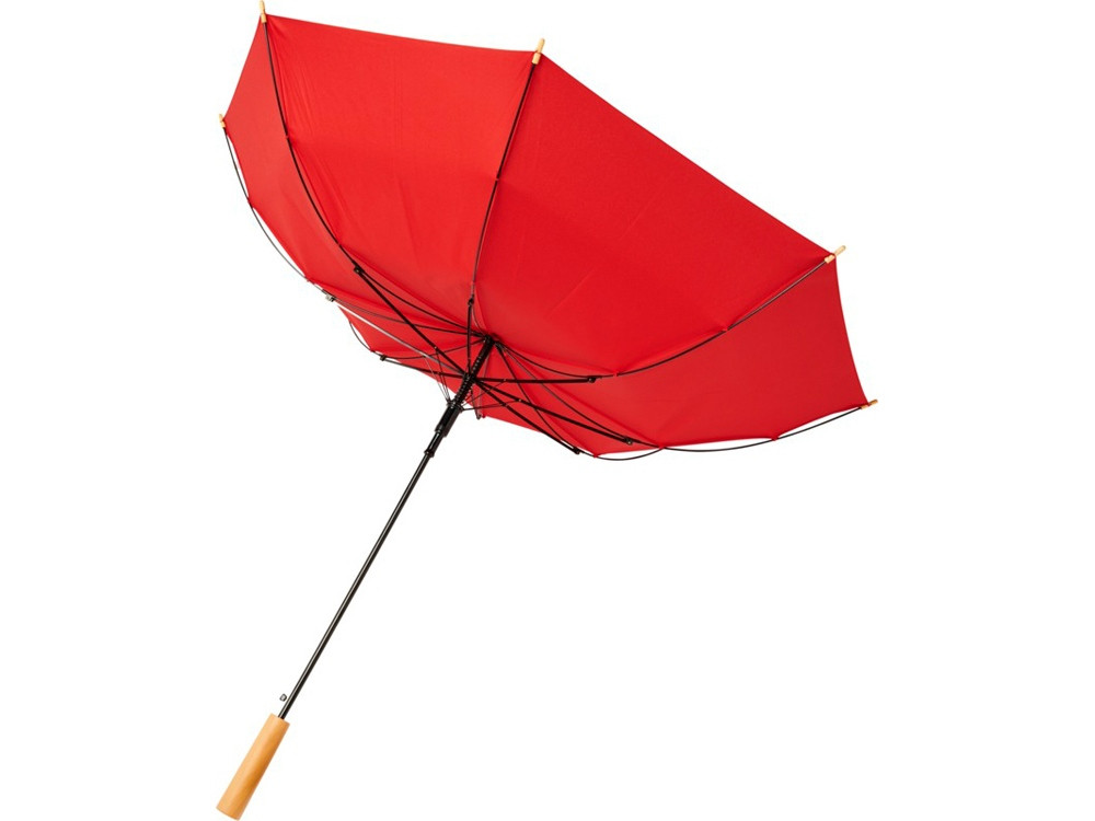 23-дюймовый автоматический зонт Alina из переработанного ПЭТ-пластика, красный - фото 4 - id-p227133817