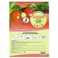 Феромонная ловушка для механического отлова Томатной минирующей моли для защиты томатов, баклажан, картофеля и