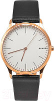 Часы наручные мужские Skagen SKW1102