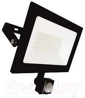 Прожектор Leek LE LED FL IR 30W BLACK / LE040304-0003