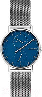 Часы наручные мужские Skagen SKW6389