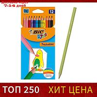 Цветные карандаши 12 цветов, детские, шестигранные, ударопрочные, BIC Kids Tropicolors