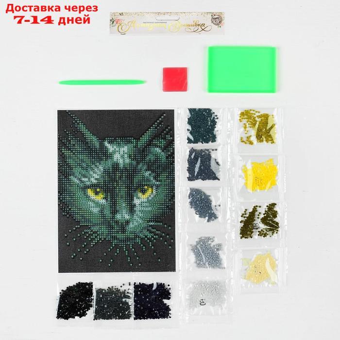 Алмазная вышивка с частичным заполнением "Чёрный кот", 15 х 21 см, холст. Набор для творчества - фото 3 - id-p226914808