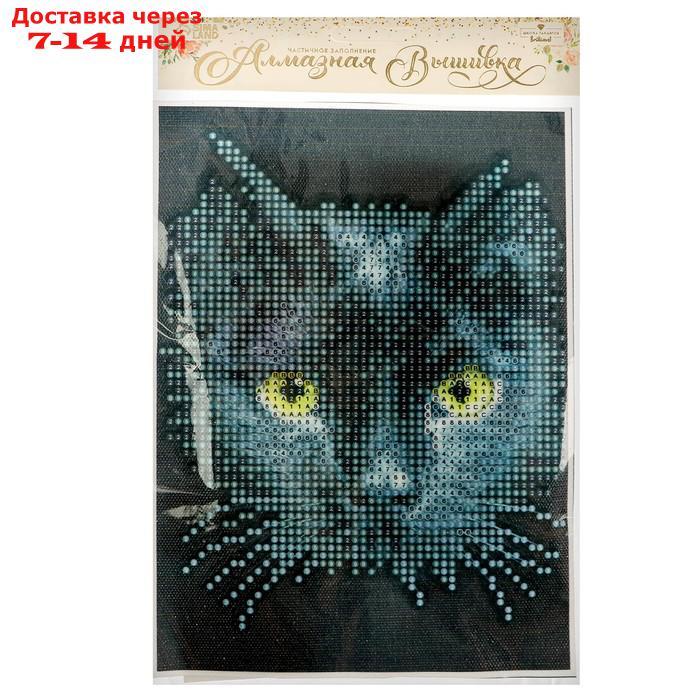 Алмазная вышивка с частичным заполнением "Чёрный кот", 15 х 21 см, холст. Набор для творчества - фото 6 - id-p226914808