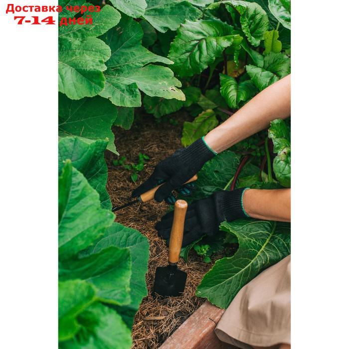 Набор садового инструмента, 2 предмета: рыхлитель, совок, длина 20 см, деревянные ручки - фото 8 - id-p226932714