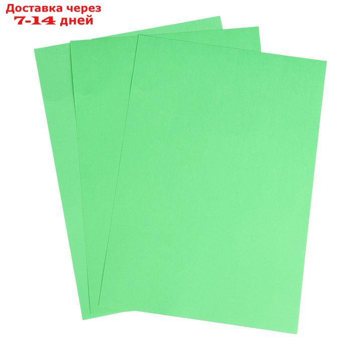 Бумага цветная А4, 50 листов Calligrata Интенсив, зелёная, 80 г/м² - фото 3 - id-p226912475