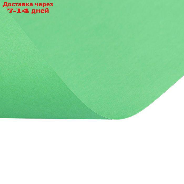 Бумага цветная А4, 50 листов Calligrata Интенсив, зелёная, 80 г/м² - фото 4 - id-p226912475