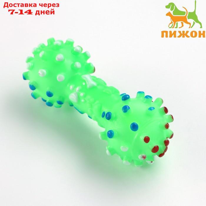 Игрушка пищащая "Гантель малая" для собак, 12,5 см, зелёная - фото 1 - id-p226941577