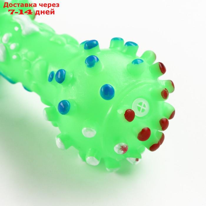 Игрушка пищащая "Гантель малая" для собак, 12,5 см, зелёная - фото 4 - id-p226941577