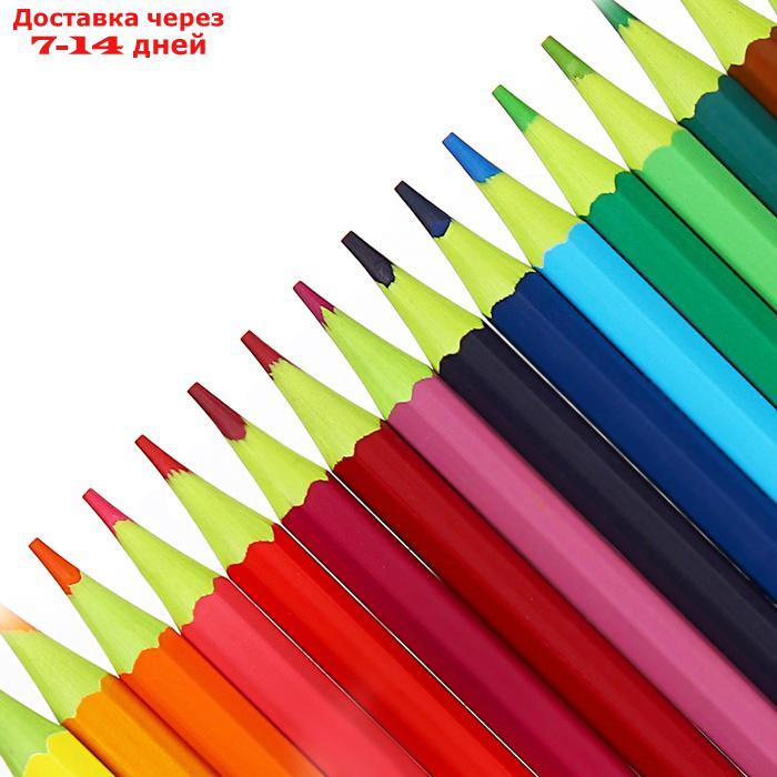 Карандаши 18 цветов, ArtBerry Wood Free, шестигранные, пластиковые, грифель диаметром 2.6 мм - фото 4 - id-p226914856