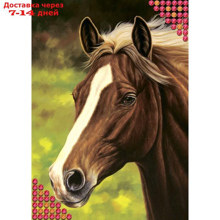 Алмазная вышивка с частичным заполнением "Лошадь", 15 х 21 см. Набор для творчества - фото 2 - id-p226937433
