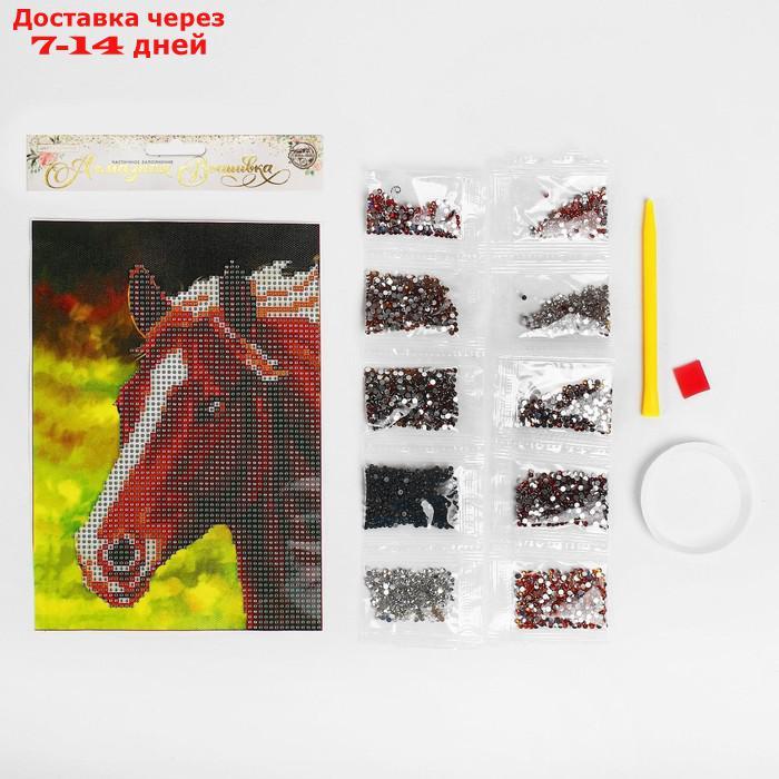 Алмазная вышивка с частичным заполнением "Лошадь", 15 х 21 см. Набор для творчества - фото 3 - id-p226937433