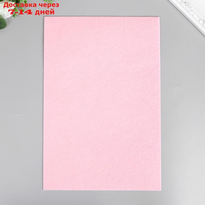 Фетр 1 мм "Нежно-розовый" МИКС набор 10 листов формат А4 - фото 2 - id-p226937444