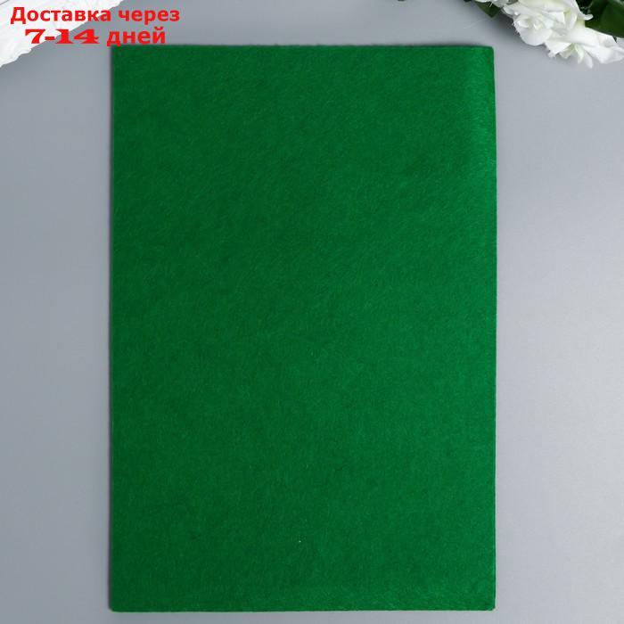 Фетр жесткий 1 мм "Летняя зелень" набор 10 листов формат А4 - фото 2 - id-p226937449