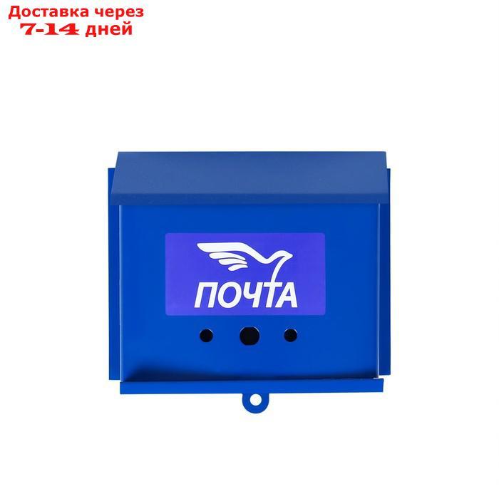 Ящик почтовый без замка (с петлёй), горизонтальный "Письмо", синий - фото 2 - id-p226932772