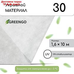 Материал укрывной, 10 × 1,6 м, плотность 30, с УФ-стабилизатором, белый, Greengo, Эконом 20%