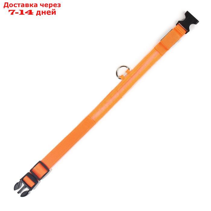 Ошейник с подсветкой, L, 45-50 см, 3 режима свечения, оранжевый - фото 5 - id-p226940388