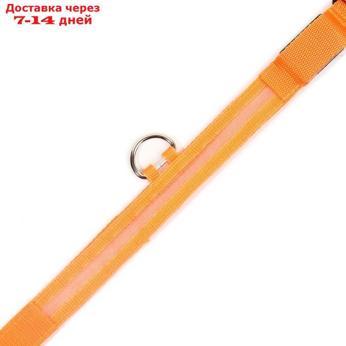 Ошейник с подсветкой, L, 45-50 см, 3 режима свечения, оранжевый - фото 7 - id-p226940388