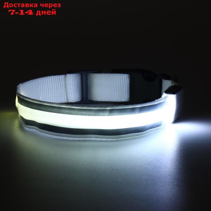 Ошейник с подсветкой и 2 светоотражающими полосами, 50-58 см, 3 режима свечения, белый - фото 10 - id-p226940390