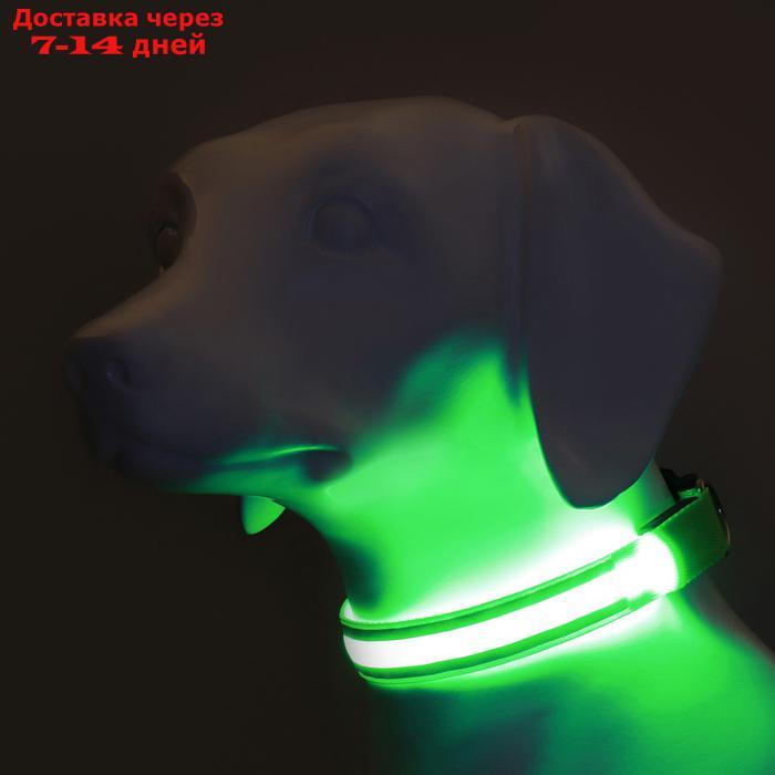 Ошейник с подсветкой и 2 светоотражающими полосами, 50-58 см, 3 режима свечения, зеленый - фото 3 - id-p226940405