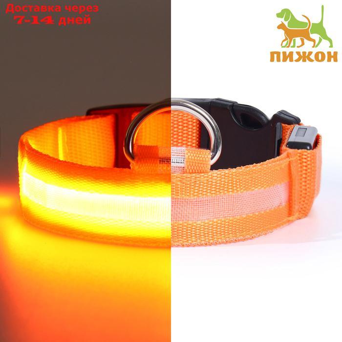 Ошейник с подсветкой, S, 38-40 см, 3 режима свечения, оранжевый - фото 1 - id-p226940424