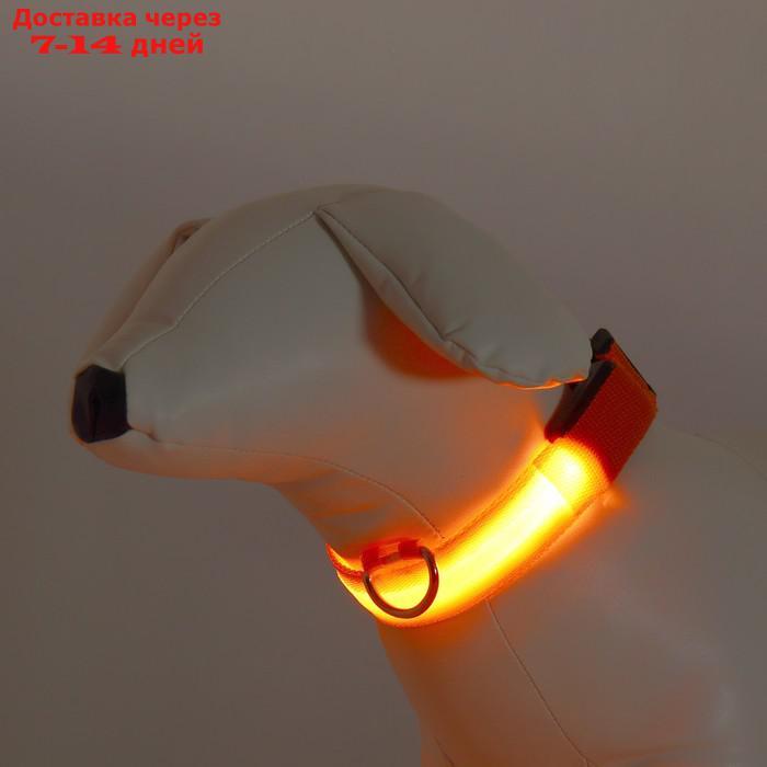 Ошейник с подсветкой, S, 38-40 см, 3 режима свечения, оранжевый - фото 3 - id-p226940424