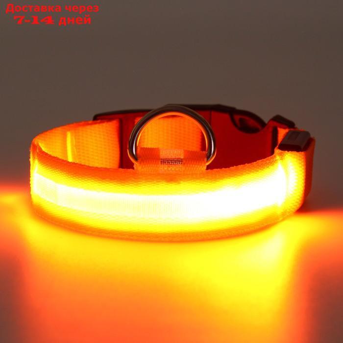 Ошейник с подсветкой, S, 38-40 см, 3 режима свечения, оранжевый - фото 5 - id-p226940424