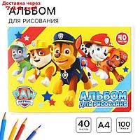 Альбом для рисования А4, 40 л., PAW Patrol