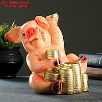 Копилка "Свинка с монетами" 19х21х13см