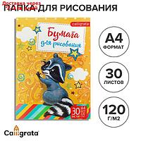 Папка для рисования А4,30 листов "Енот", плотность 120г/м