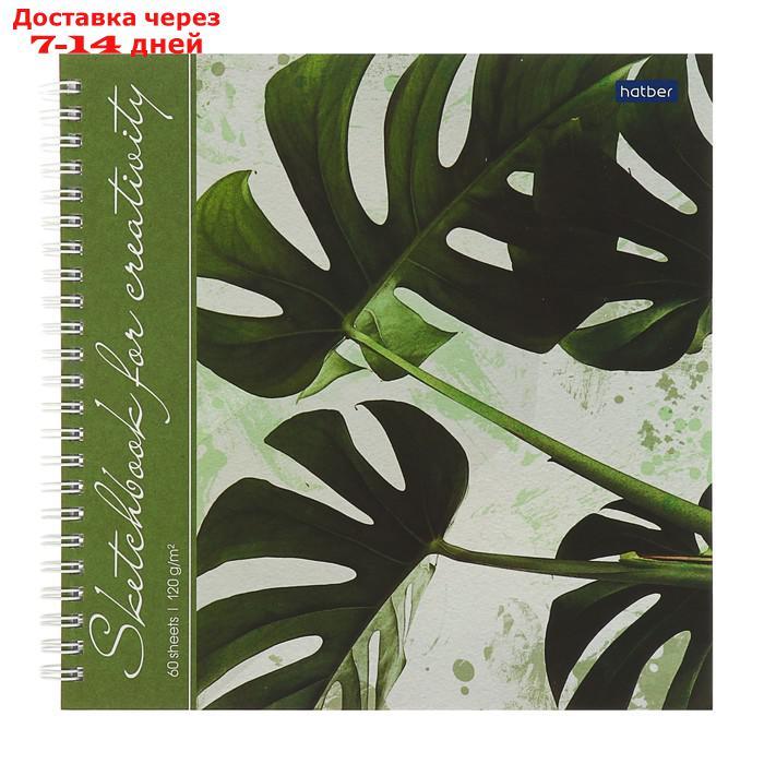 Тетрадь-скетчбук А4, 60 листов на гребне "Тропические листья", твёрдая обложка, блок 120 г/м², с пошаговыми - фото 1 - id-p226915335