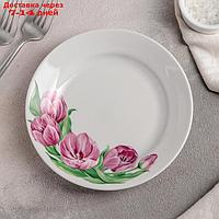 Тарелка мелкая "Розовые тюльпаны", 17,5 см
