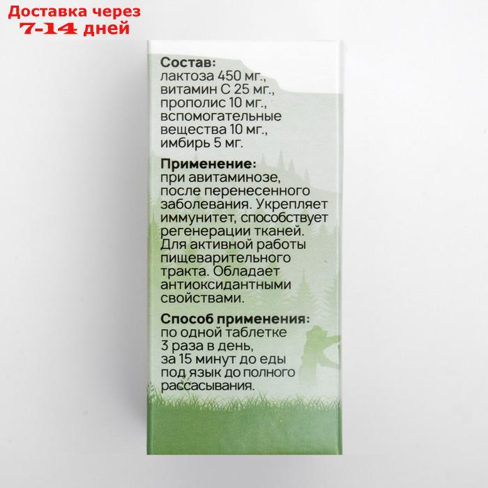 Прополис + витамин С, имбирь (30 таблеток по 500 мг) - фото 3 - id-p226920451