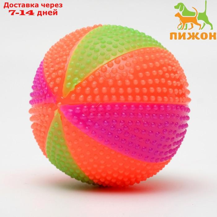 Мячик светящийся для собак "Цирковой", 6,5 см, микс цветов - фото 1 - id-p226940596