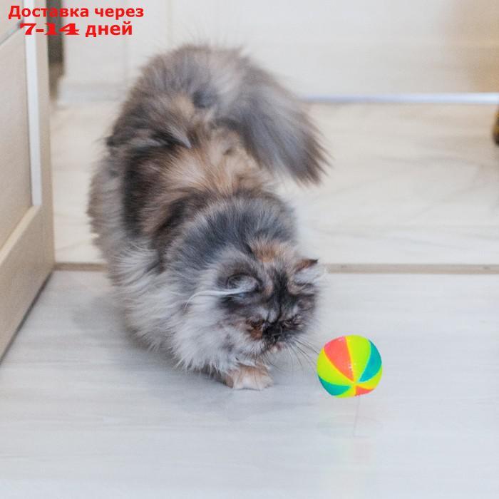 Мячик светящийся для собак "Цирковой", 6,5 см, микс цветов - фото 3 - id-p226940596