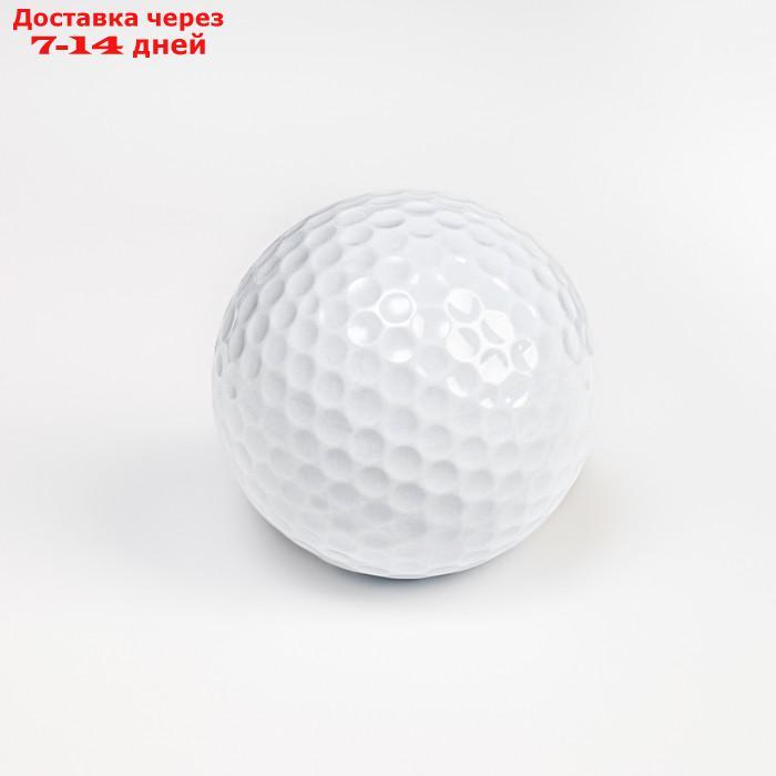 Мяч для гольфа, 2-х слойный, 420 выемок, d=4.3 см, 45г - фото 1 - id-p226928830