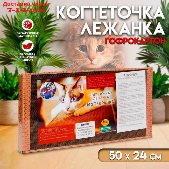 Домашняя когтеточка-лежанка для кошек, 50 x 24 см (когтедралка) - фото 1 - id-p226940615