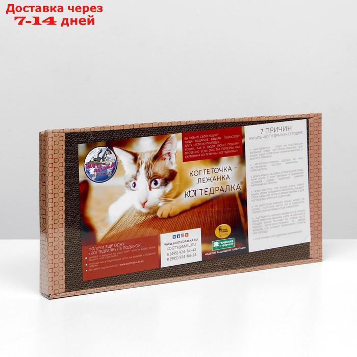 Домашняя когтеточка-лежанка для кошек, 50 x 24 см (когтедралка) - фото 2 - id-p226940615