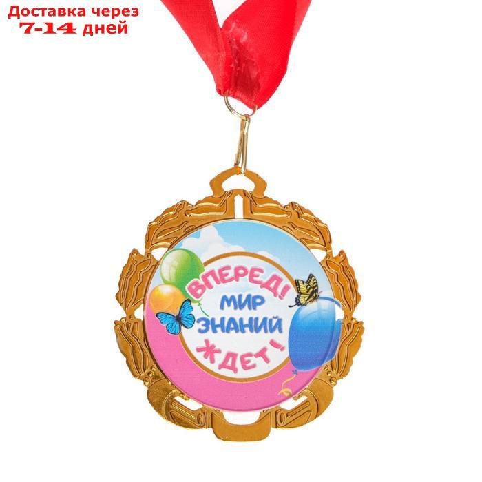 Медаль с лентой "Выпускник детского сада", D = 70 мм - фото 2 - id-p226932083